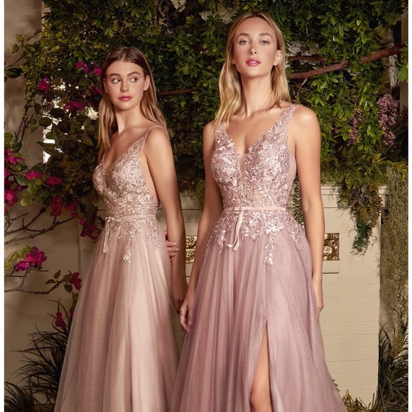 NEW LONG SLEEVELESS EMBROIDERED A-LINE TULLE DRESS WITH ZIPPER BACK AL A1045C - Picture 6 of 9